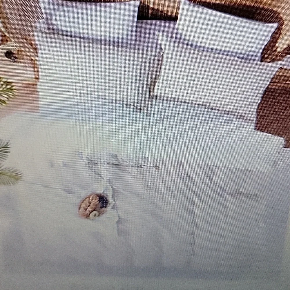 Nestl King off white duvet cover set double brushed 3pc 2 shams 104
